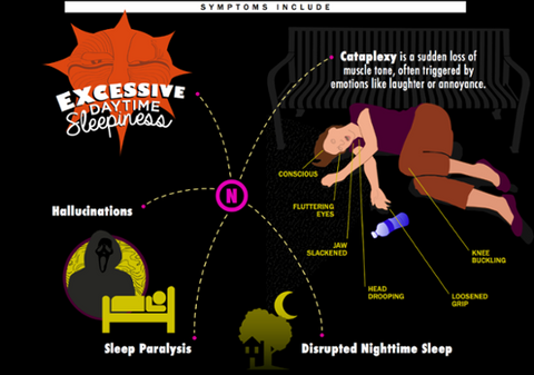 A Deeper Look at Narcolepsy Through the Eyes of the Afflicted