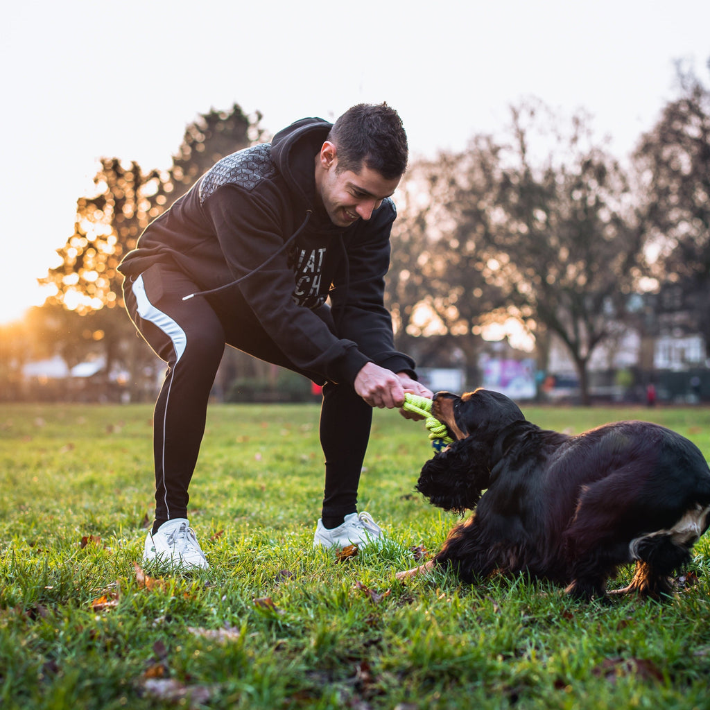 why is playing with your dog important