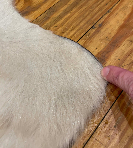 fix cowhide rug curl