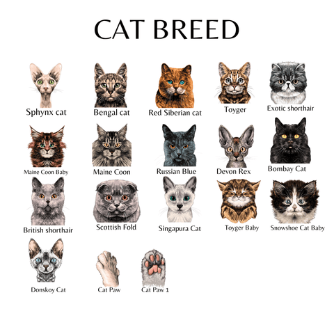 cat breed chart