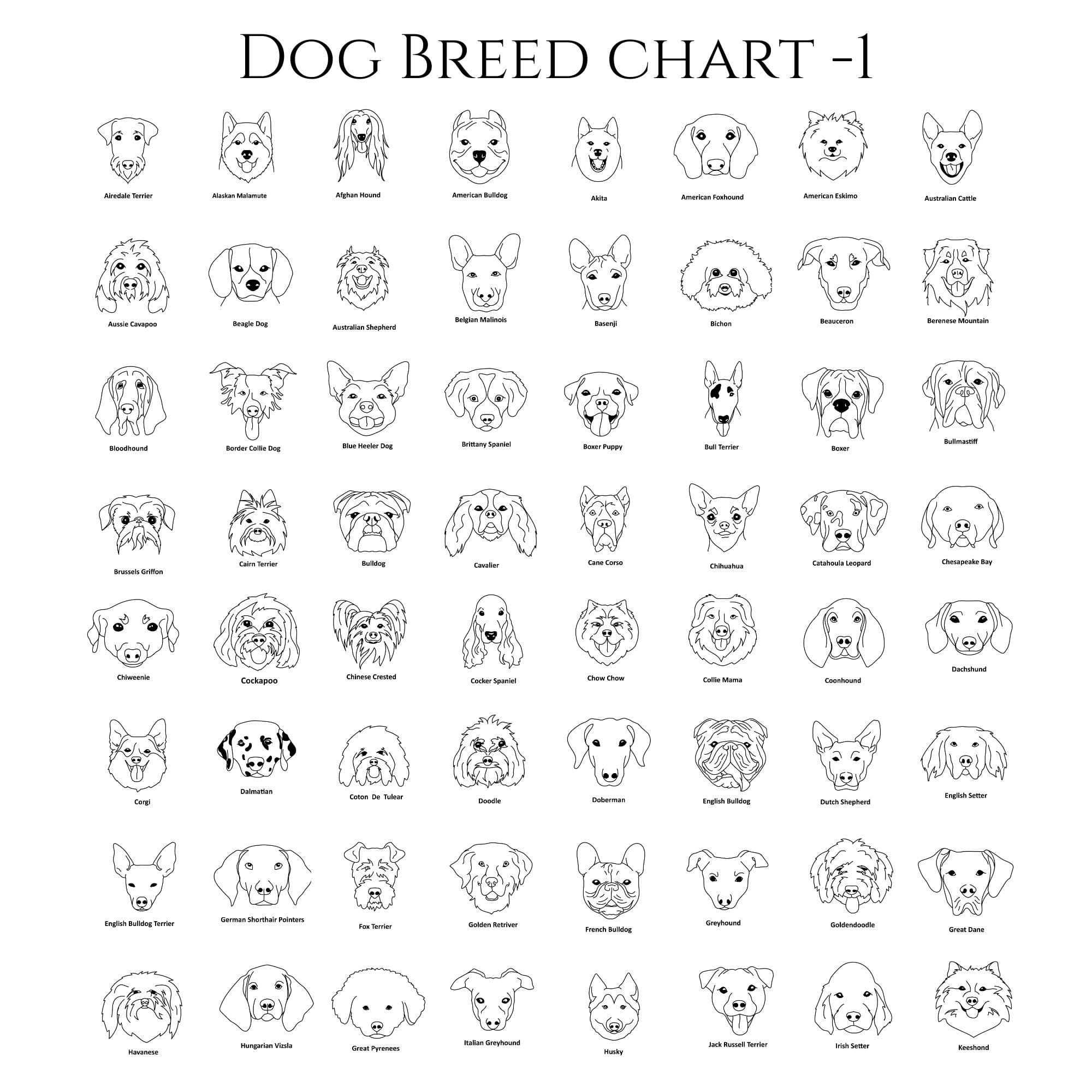 Lines Dog Breed Chart-1