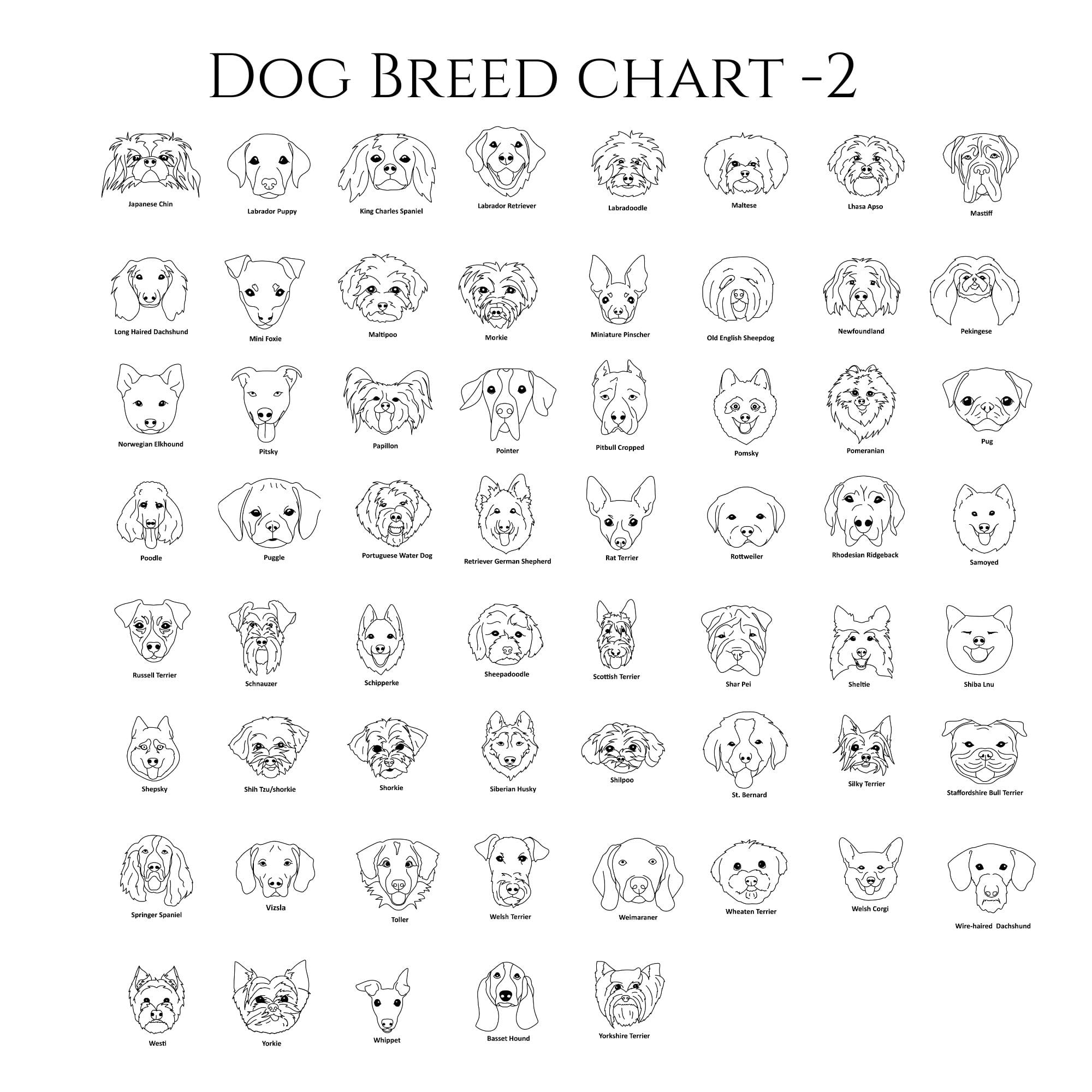 Lines Dog Breed Chart-2