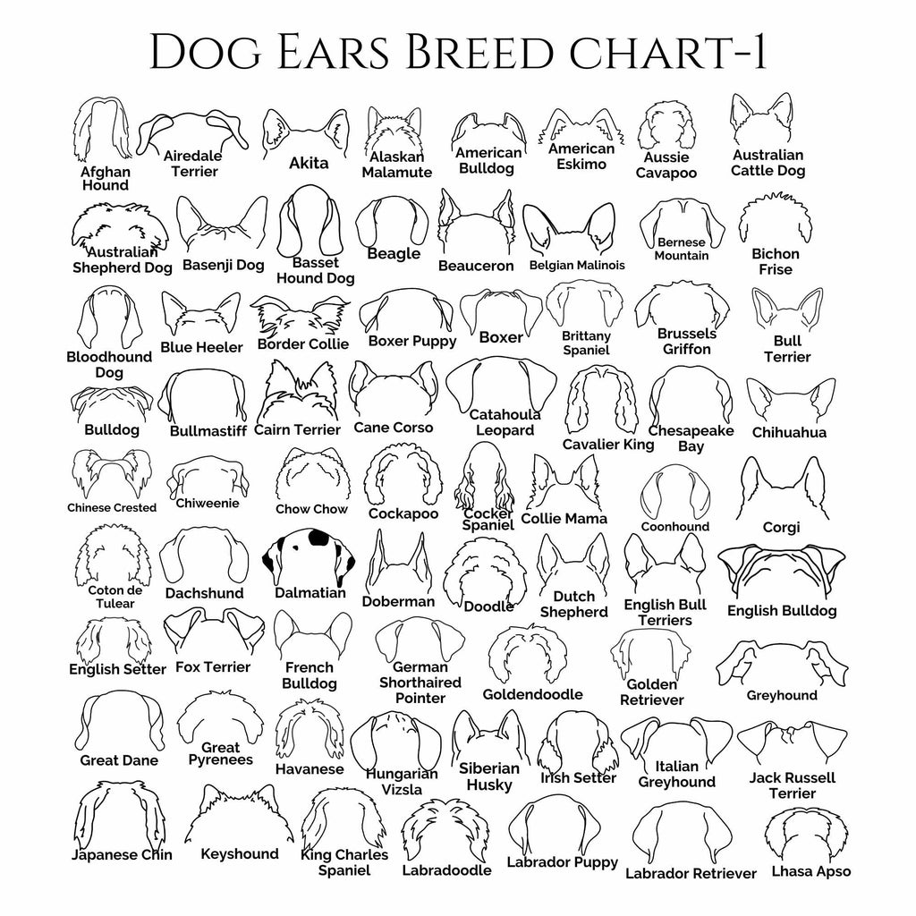 dog-ears-breed-chart-neleti.com