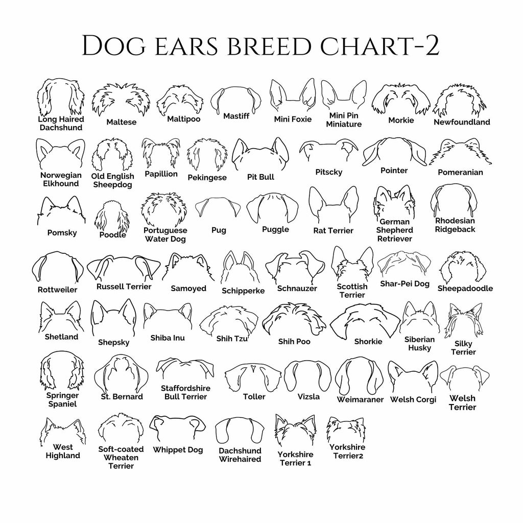 dog-ears-breed-chart-neleti.com