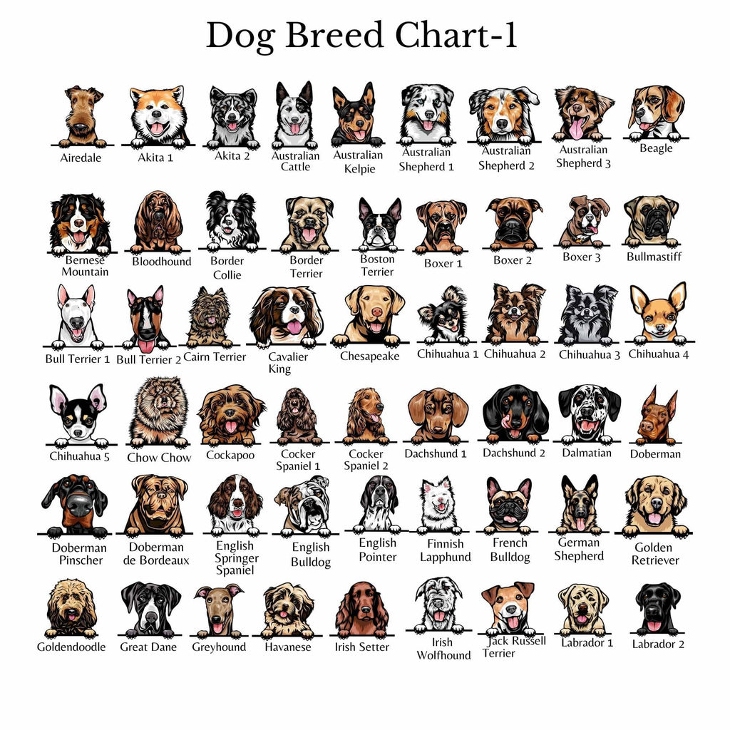 dog-breed-chart-neleti.com