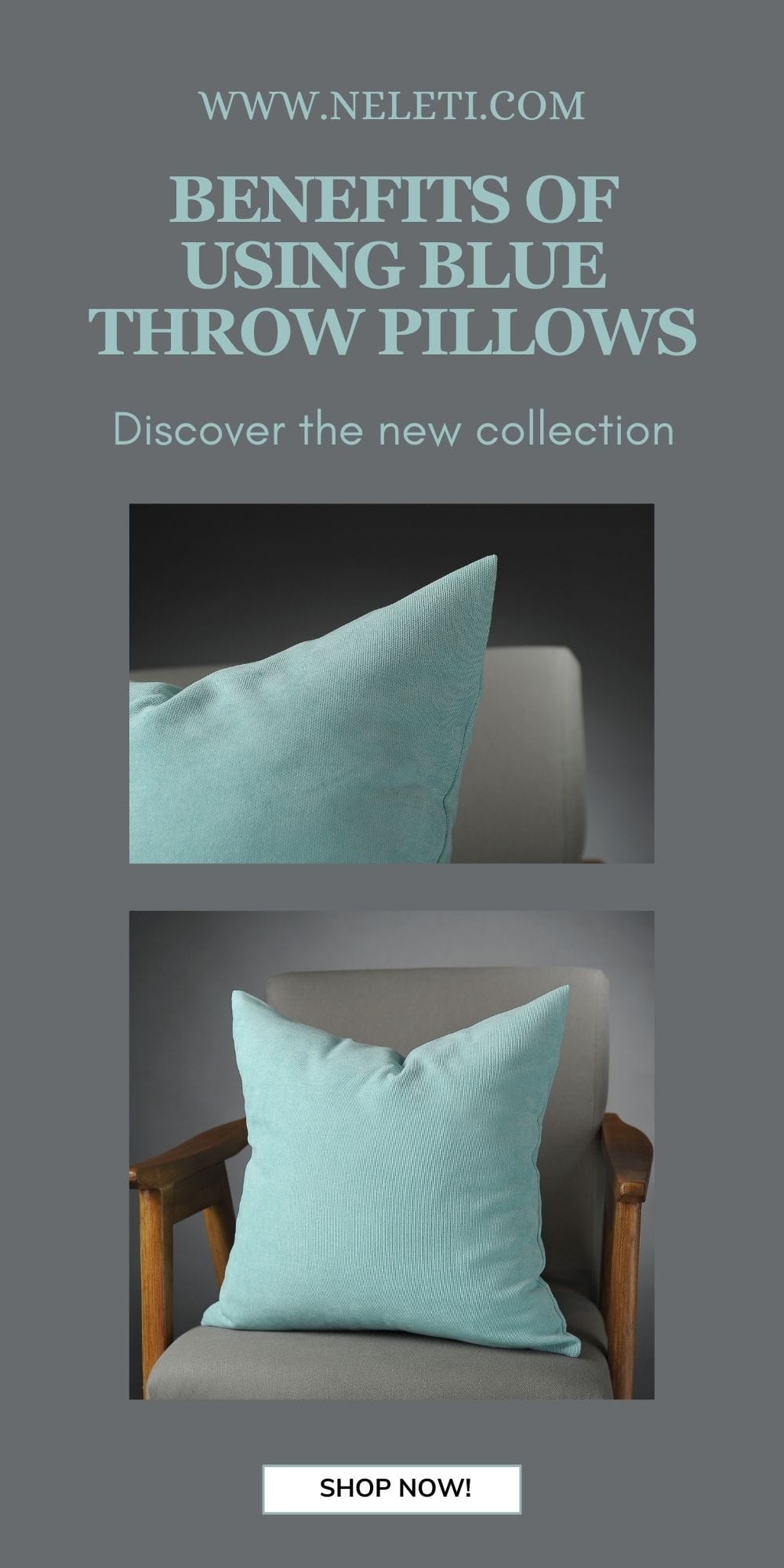 neleti.com-blue-throw-pillows