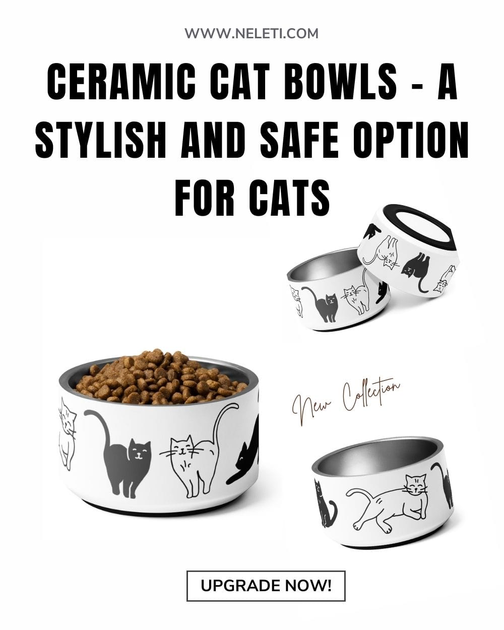 neleti.com-cat-bowl