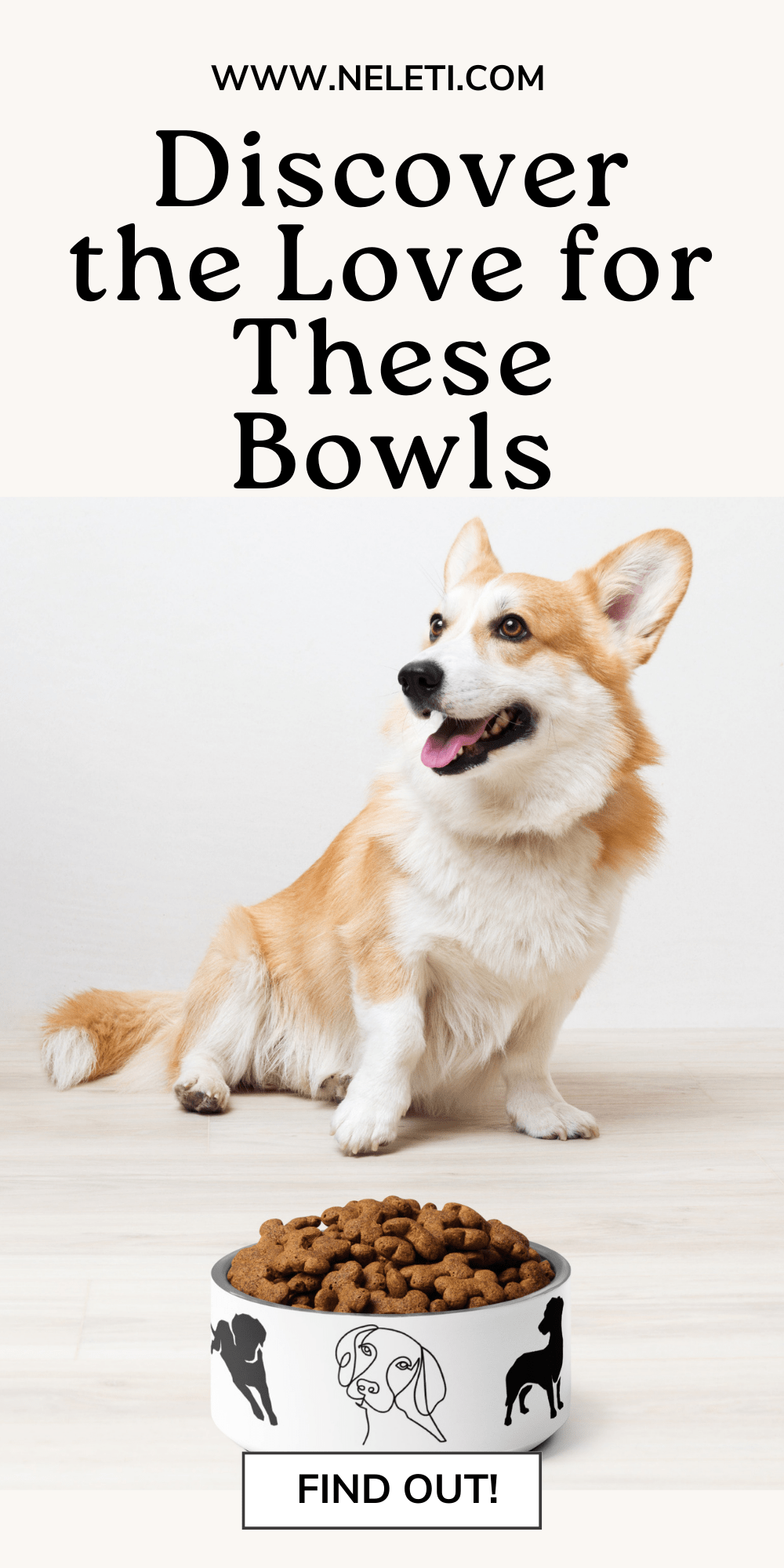 neleti.com-dog-bowl