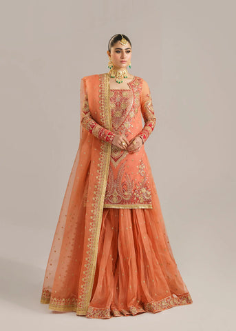 Pakistani wedding Lehenga