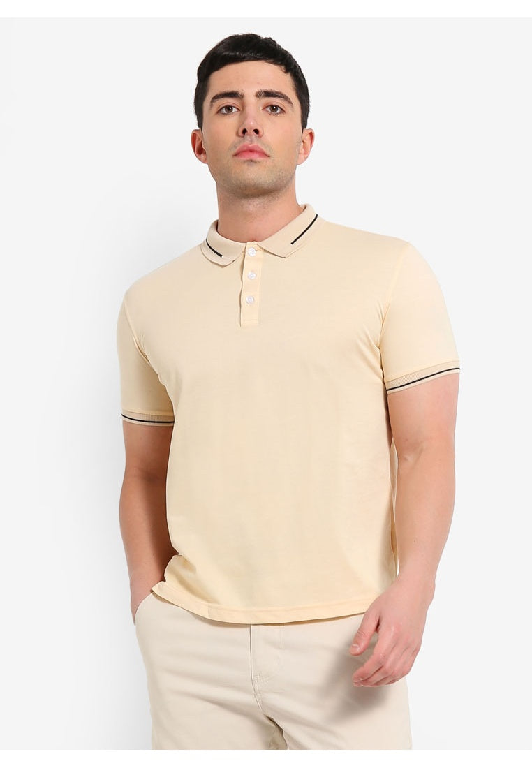 Single Striped Collar Polo Shirt