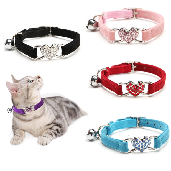 Cat/Dog collar