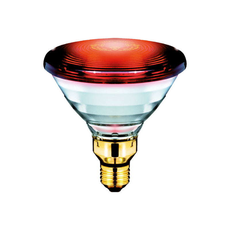 magic oil lamp