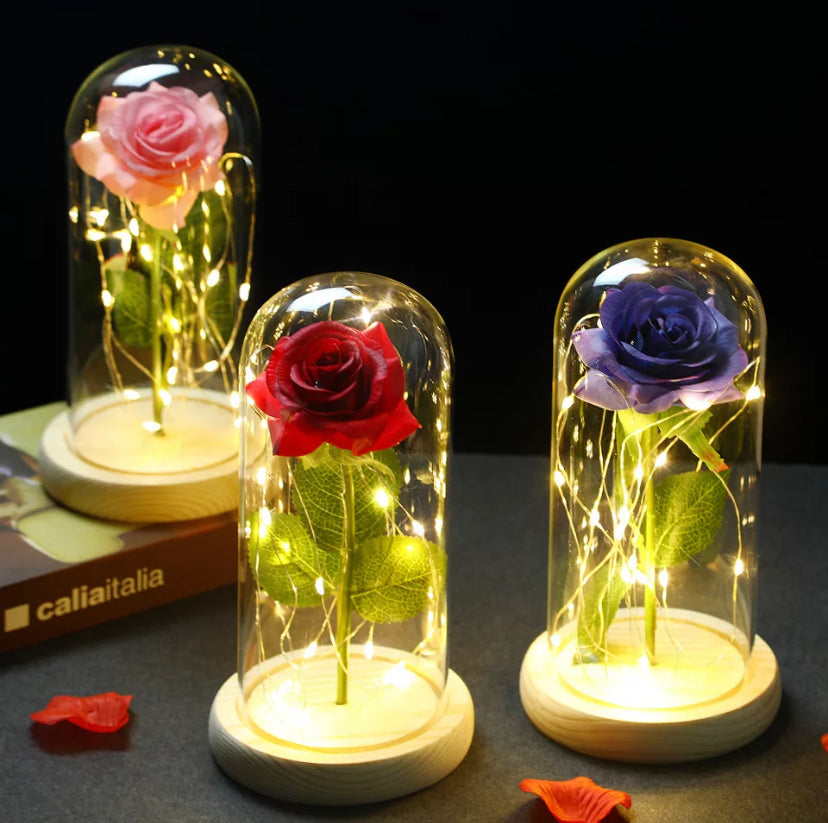 Rosa eterna con luz led – Gato Efervescente