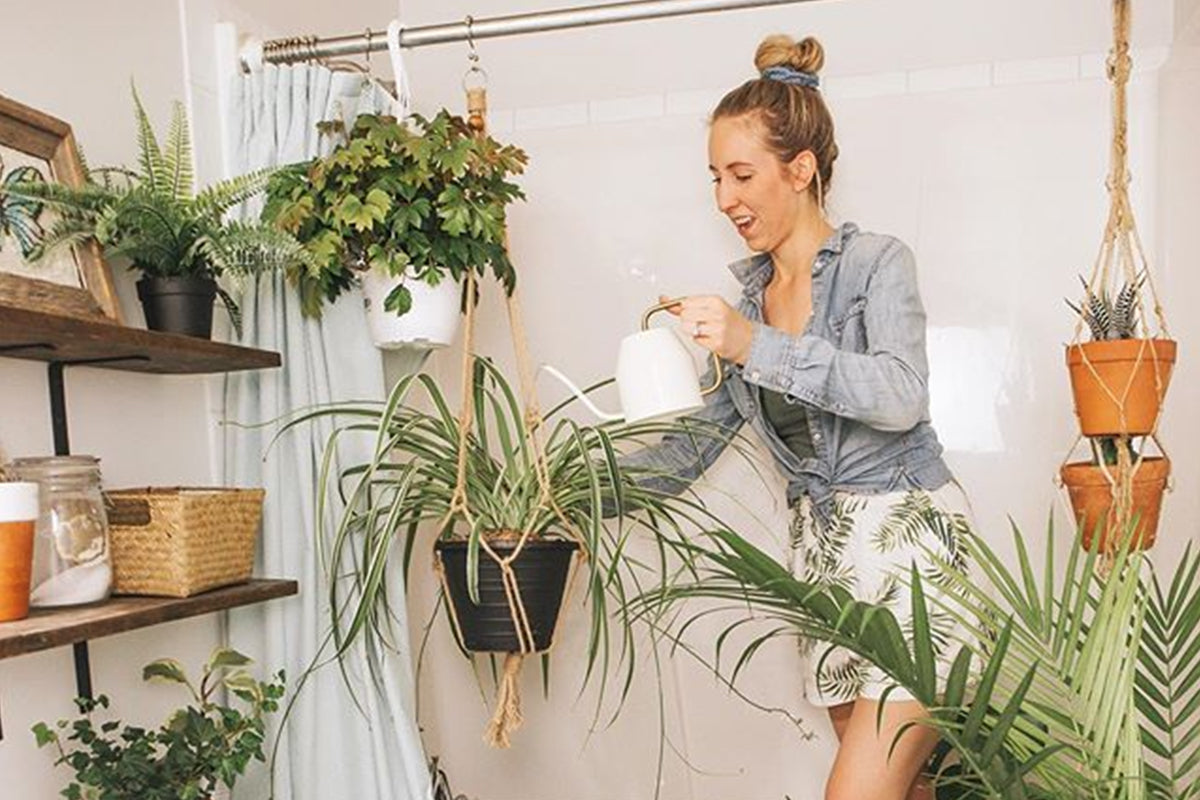 Plant watering in bathroom