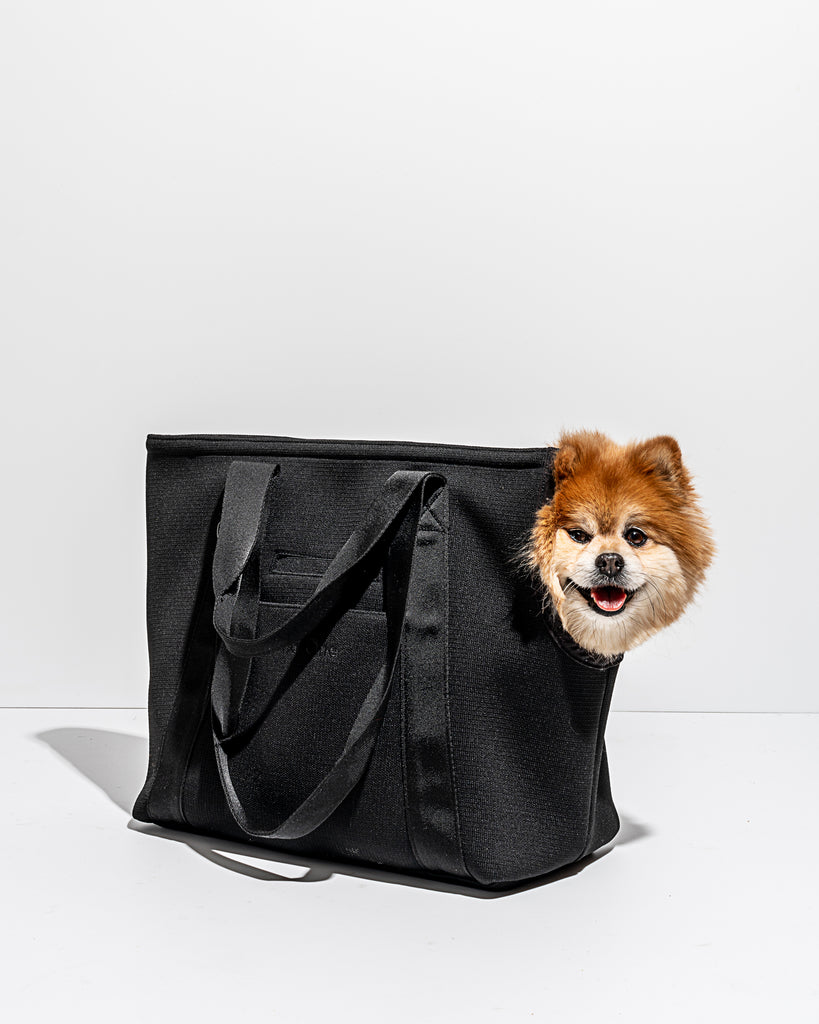 https://cdn.shopify.com/s/files/1/0502/8144/7617/products/WO_VM_Studio_PDP_EverydayCarrier_Black_Dog_02_Web_1024x1024.jpg?v=1634997829