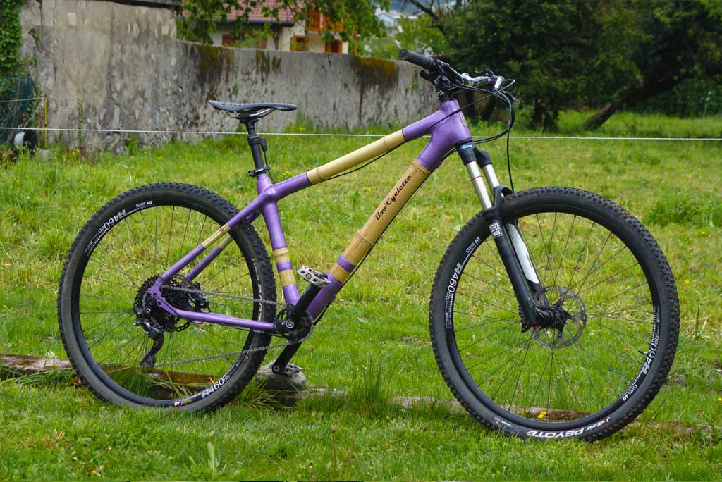 Finished MTB 29er with custom geometry