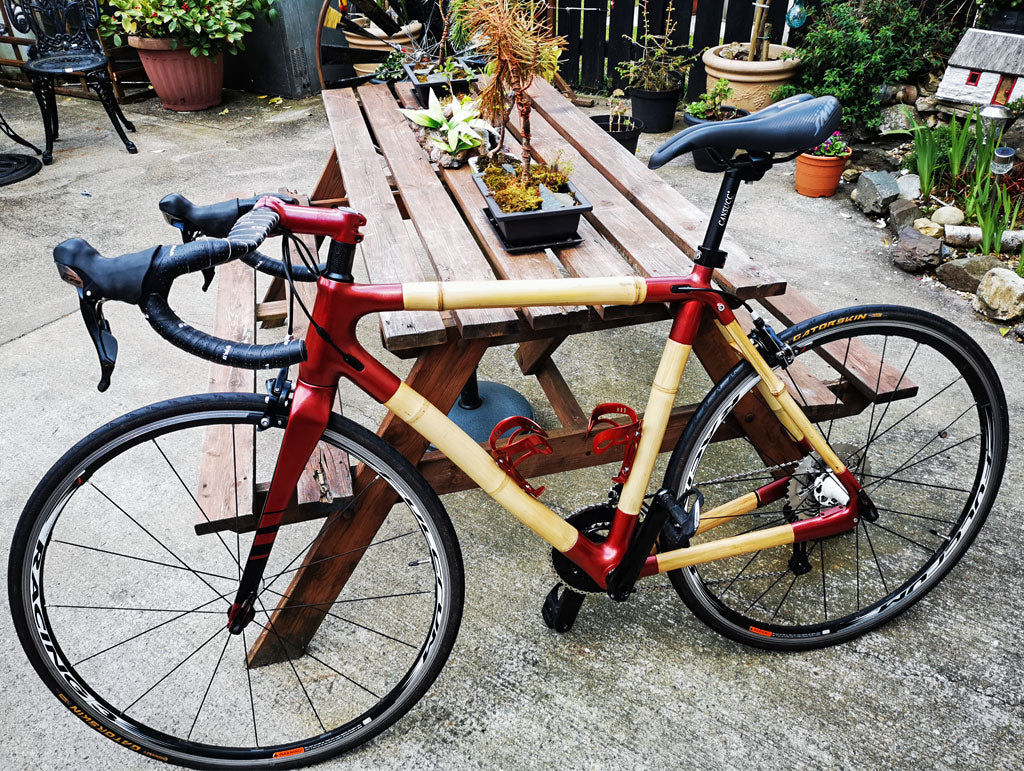 Finished Bamboo Bike