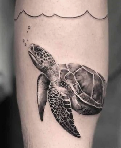 best sea turtle tattoo