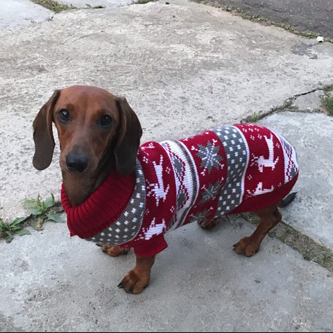 Dachshund Christmas Sweater