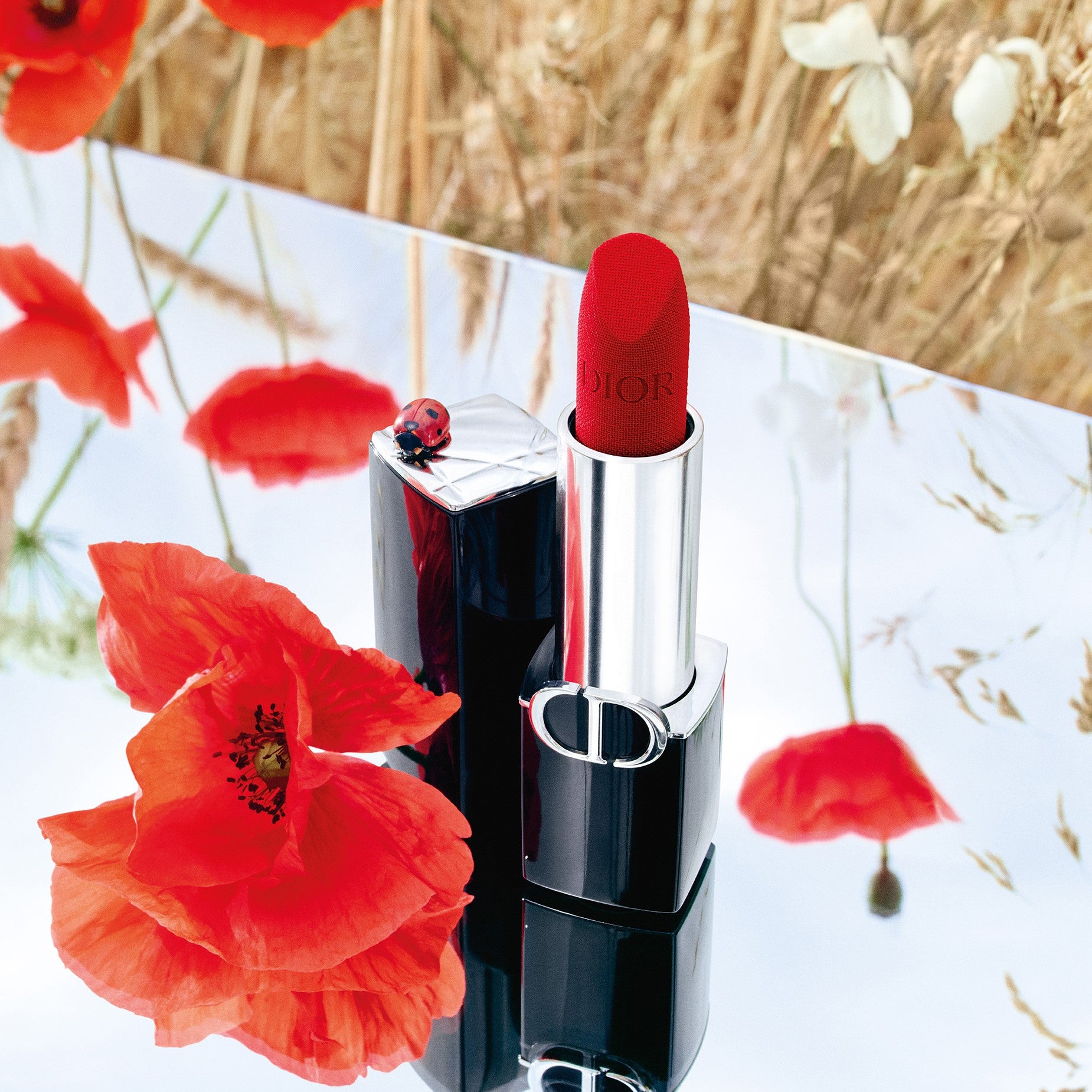 Rouge Dior