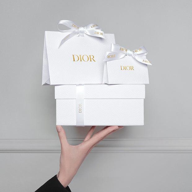 Dior Holiday AOG 2023