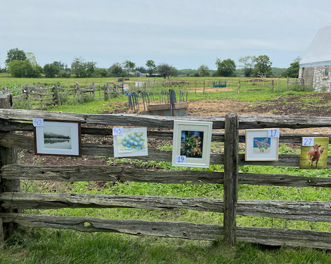 art displayed around the farm