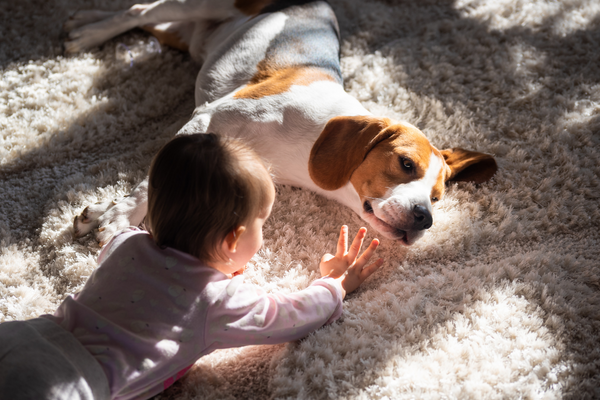 calm dog baby rainbow kids yoga teacher training