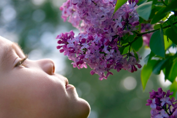 sentir les fleurs haleine de bourdon