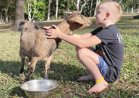 Indigo with Goat - Kindred Spirit Sanctuary - Confessions of a Hinjew Hindu Jew - Rainbow Kids Yoga Training