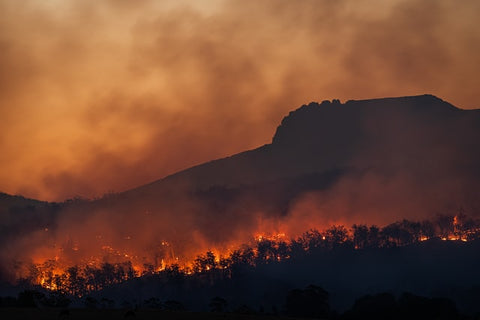 Feu de forêt Feu de forêt Réchauffement climatique Formation de yoga arc-en-ciel