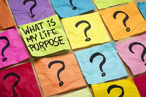 What is my life purpose? - Yoga and Mental Health Class Plan - Rainbow Kids Yoga Training