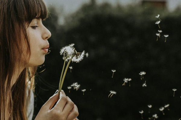 Blowing Dandelion Breathe Breath Rainbow Yoga Training