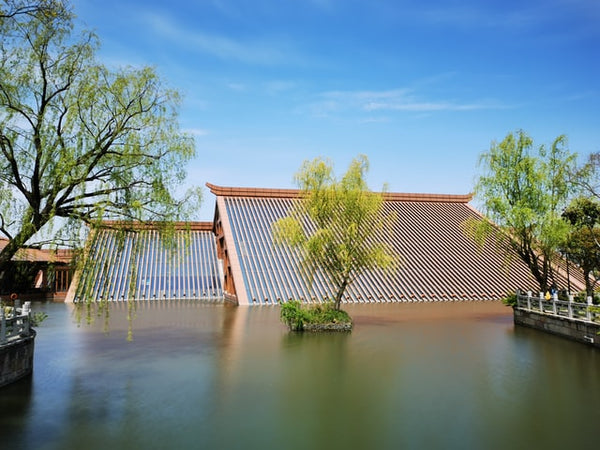 Flooding Roof Climate Change - We Are Nature & Nature Is The Solution - Rainbow Yoga Training