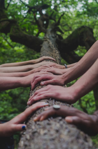 Human Connection Tree Nature Rainbow Kids Yoga Training