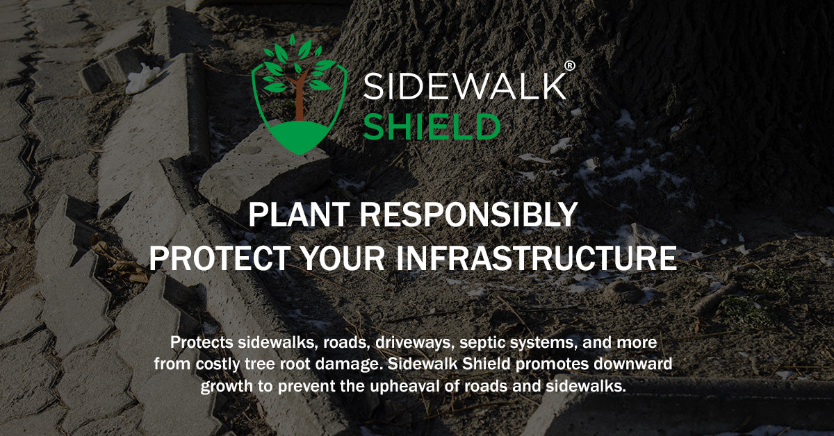 Sidewalk Shield
