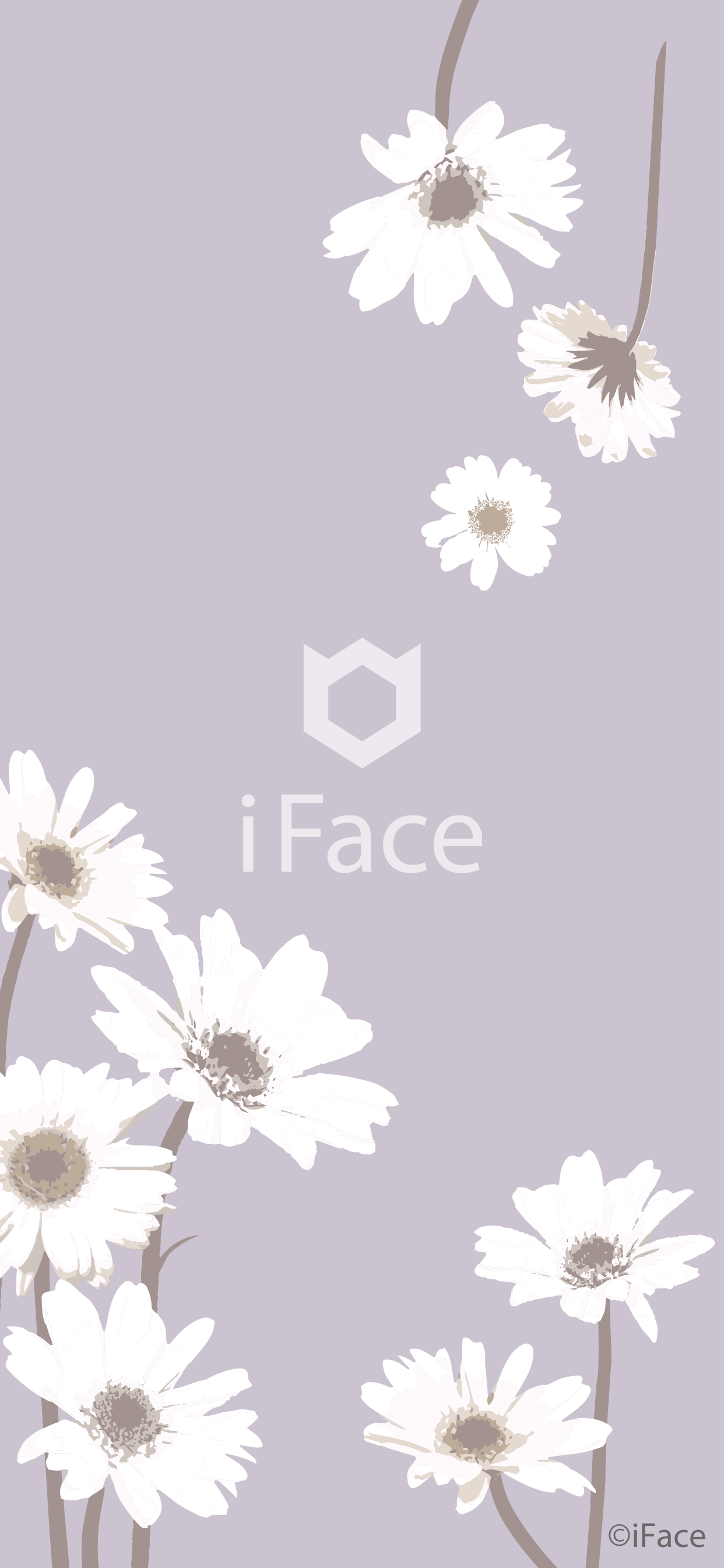 Iface アイフェイス待ち受け画像無料配布 Hamee本店