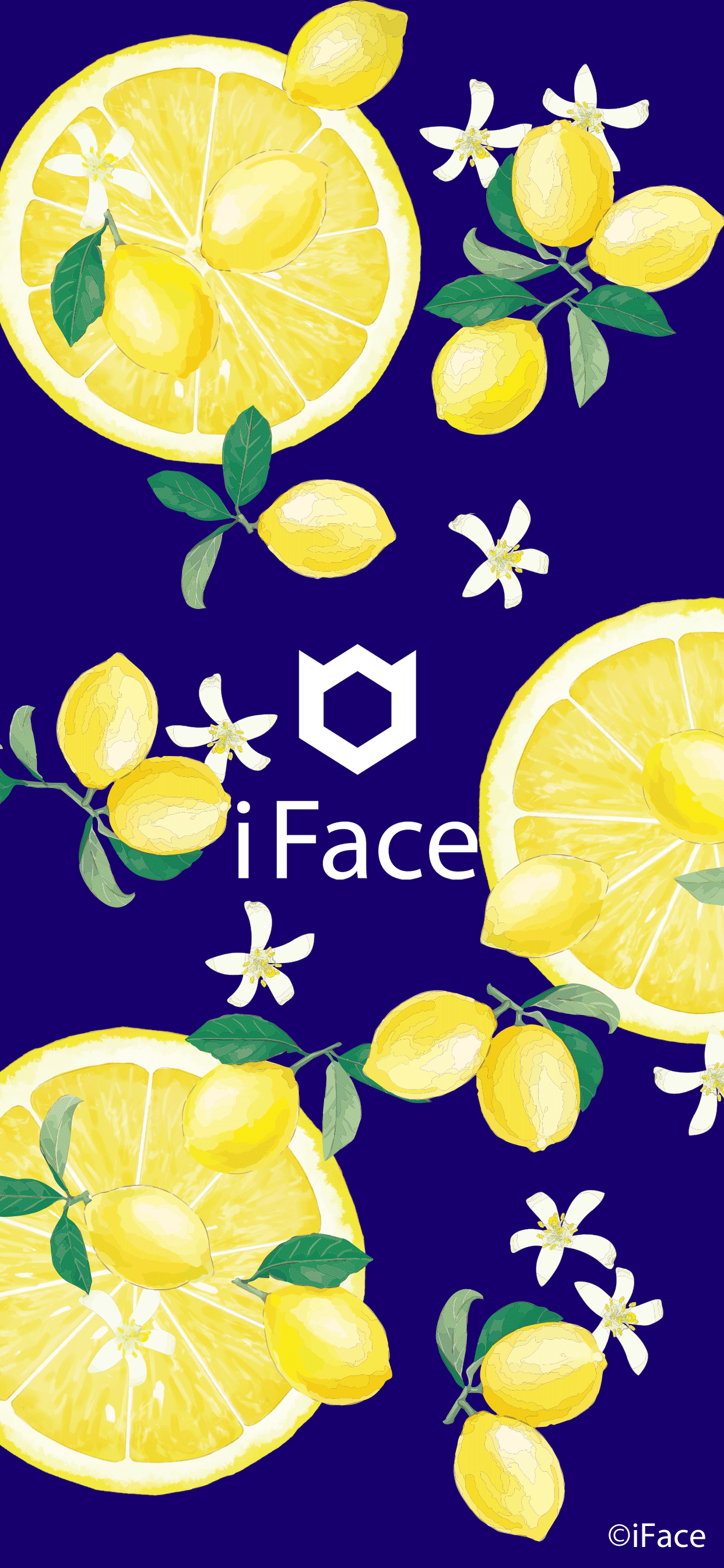 Iface アイフェイス待ち受け画像無料配布 Hamee本店