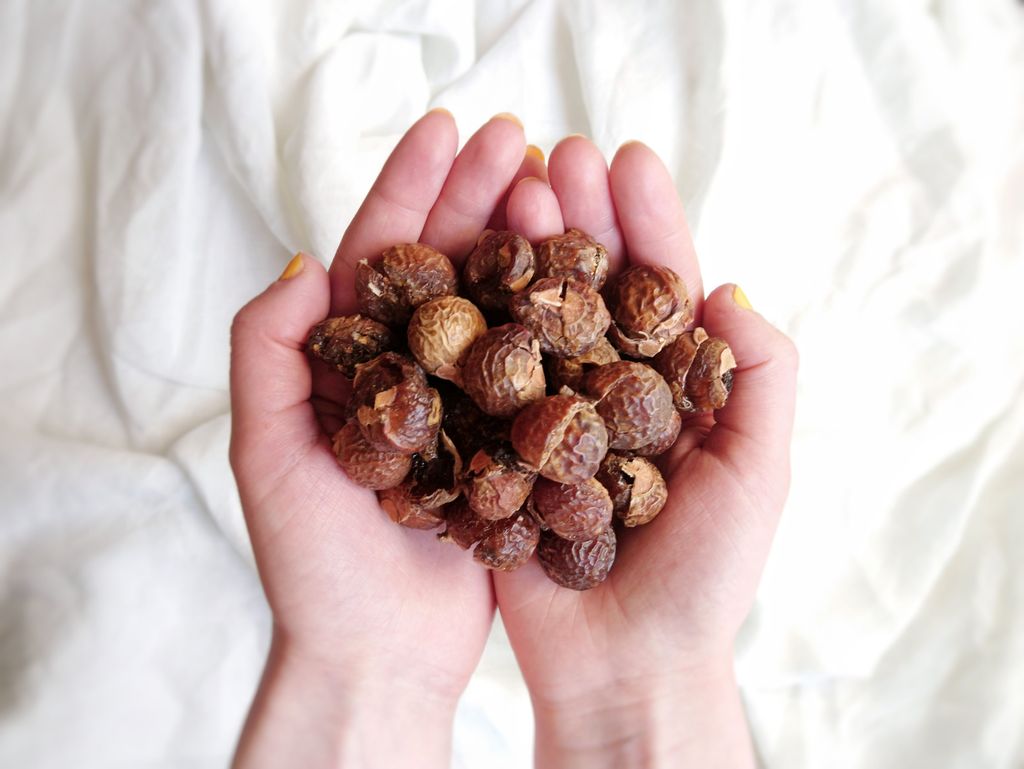 Planet Pure soap nuts, stone fruits Fair Trade | Ruohonjuuri.com