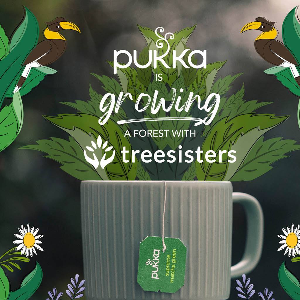 Pukka collaborating with tree sisters | Ruohonjuuri.com