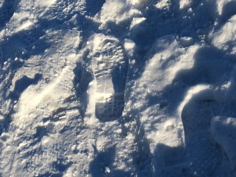 Footprint On Snow by Carolina Reis