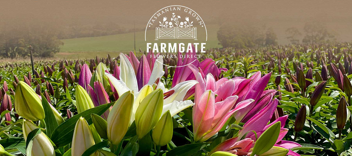 Farmgate Flowers Direct