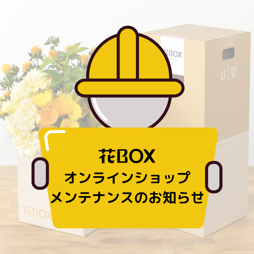 ニュース 花box Shop