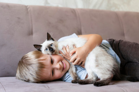 Eiffel Textile | Confort y Cuidado: Elige la Funda de Sofá Perfecta para Hogares con Niños Juguetones y Mascotas Cariñosas