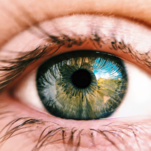 Revealed: Eye-Boosting Nutrients you need for vision support