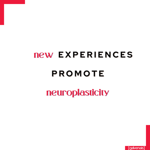 new experiences promote neuroplasticity - quote by galvenais brainfood brain health longevity memory energy supplement bars