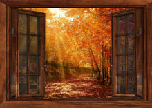 Lade das Bild in den Galerie-Viewer, Wandbild Herbst Fototapete Poster Fensterblick Blätter bunt Stimmung FE170LI
