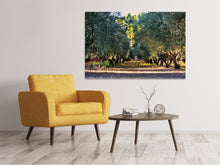 Lade das Bild in den Galerie-Viewer, Leinwandbild Prächtige Olivenbäume
