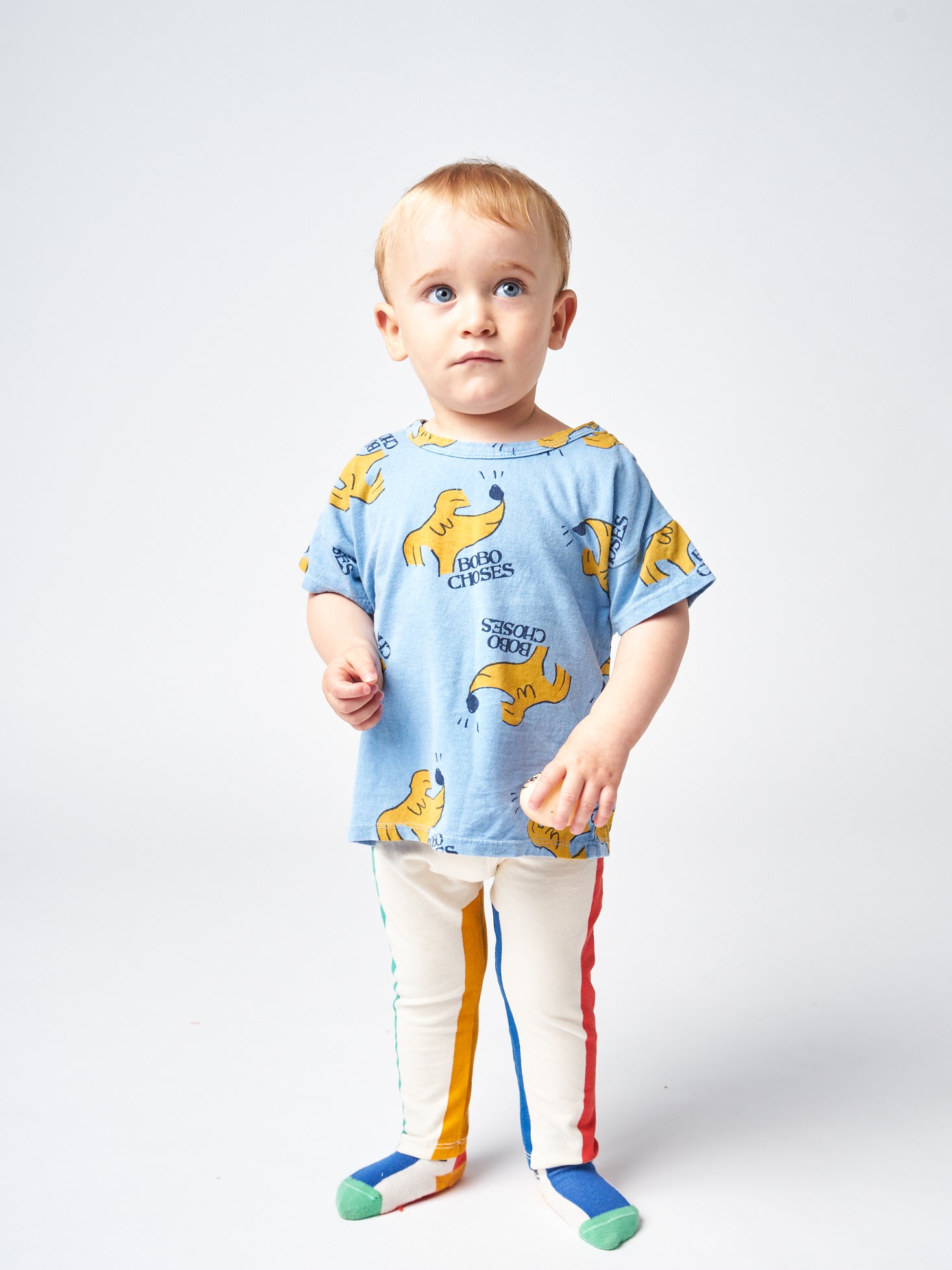 bobo choses Tシャツ 犬 | www.couros.com.pe