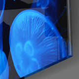 Jellyfish Glass Print Wall Art