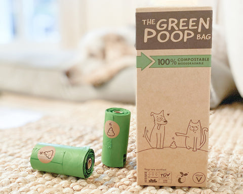 Showing eco poop bags with a dog in the background